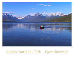 Glacier Early Summer