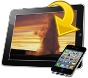 The Complete Yellostone Digital Download