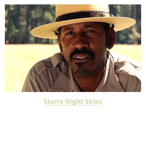 Starry Night Skies